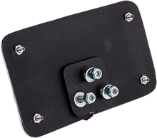CYCLE VISIONS License Plate Mount - Lighted Frame CV-4640