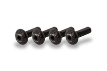 CNC Racing Undertail Bolt Kit for the Ducati Panigale / Streetfighter V4 / V2