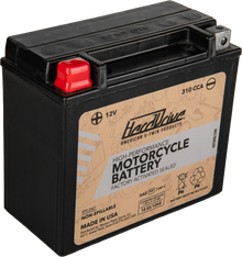 High Perform Battery Ytx20h Cca 310