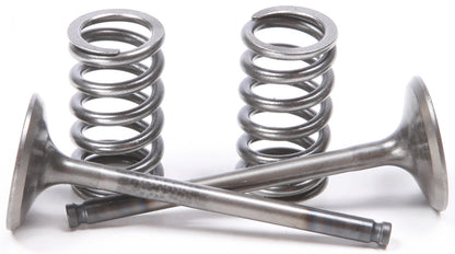 Exhaust Valve Conversion Set Ti Steel Gas/Yam