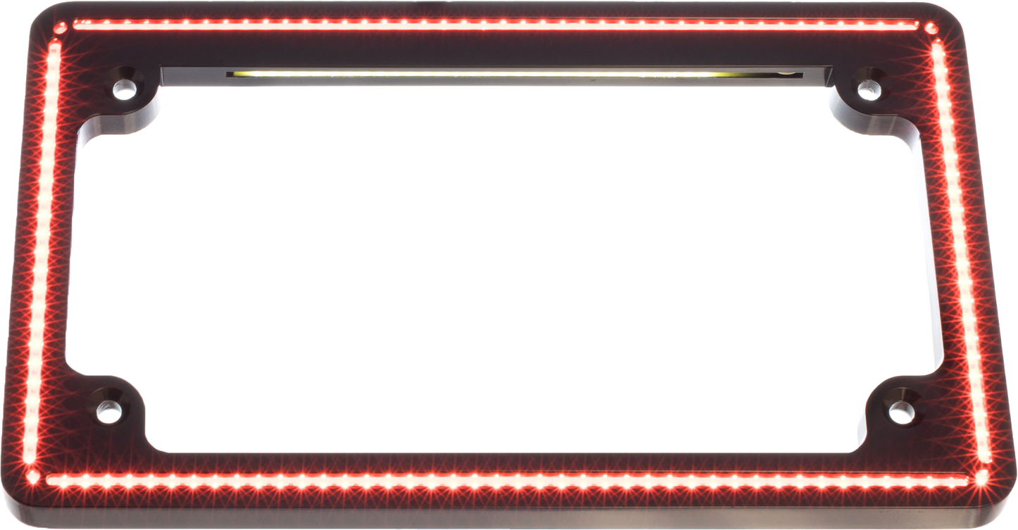 Perfect Plate Light Gloss Blk Trike `14 Up