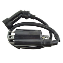 External Ignition Coil W/Spark Plug Cap