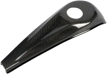 Carbon Fiber Dash Flhx/Fltr 08 22