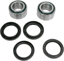 PIVOT WORKS Wheel Bearing Kit - Rear - Arctic Cat PWFWK-A01-542