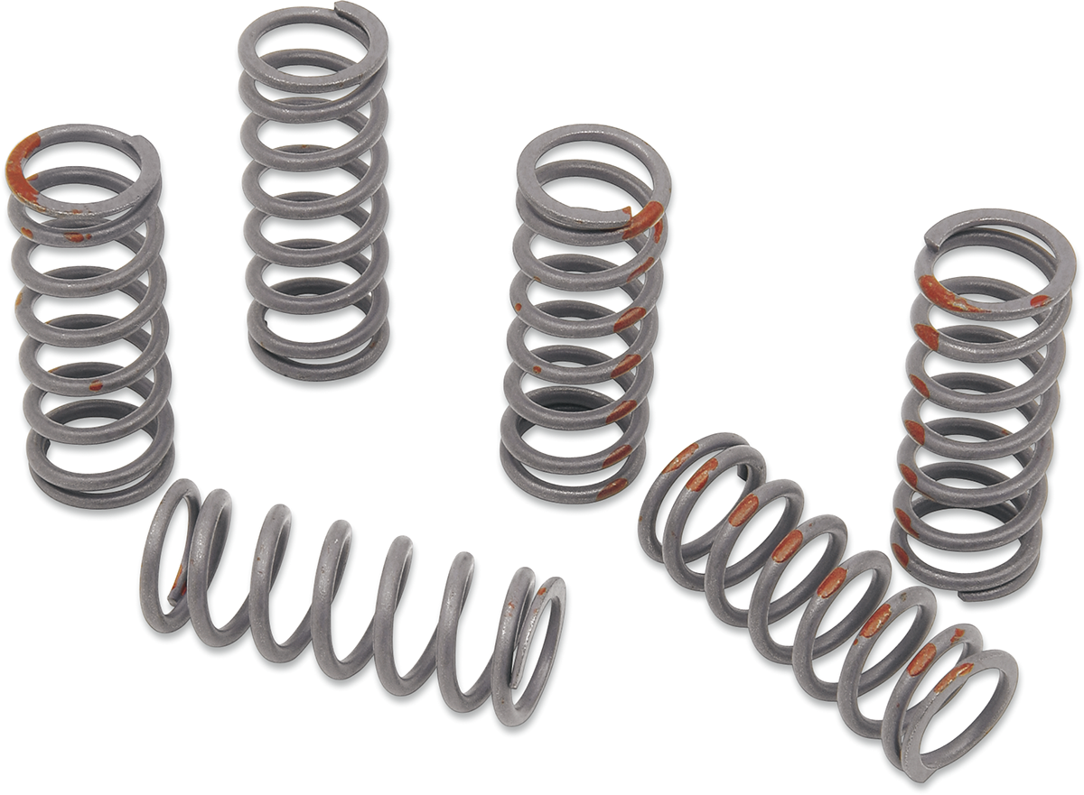 KG POWERSPORTS Clutch Spring Set KGS-057