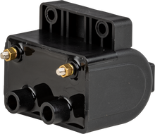 Hd 30v Hp Dual Fire Coil Front Posts Elct Ign 85 98
