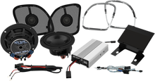 WILD BOAR AUDIO 400 W Amp/Speaker Kit - FLT WBARG KIT.2R