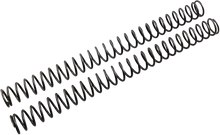 FACTORY CONNECTION Front Fork Springs - 0.42 kg/mm LRI-042