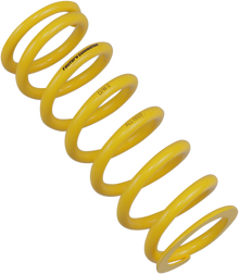 FACTORY CONNECTION Shock Spring - Rear - Spring Rate 319.19 lb/in ALL-0057