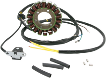 RICK'S MOTORSPORT ELECTRIC Stator 21-563