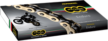 REGINA 525 ZRE - Drive Chain - Gold - 110 Links 137ZRE/011