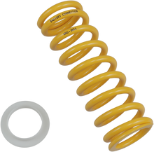FACTORY CONNECTION Shock Spring - Rear - Spring Rate 300 lb/in NNU-0054