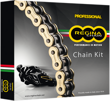 REGINA Chain and Sprocket Kit - Honda - CBR 900RR - '96-'99 137ZRP/108-KHO017