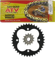 REGINA Chain and Sprocket Kit - Honda - TRX 450R/ER - '06-'14 135QUAD/096KHO027