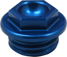 WORKS CONNECTION Oil Fill Plug - Blue - Gas Gas/Husqvarna/KTM 24-030