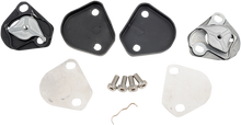 AGV Pista GP RR/Corsa R/Veloce S Pivot Kit - With Screws 20KIT60016999