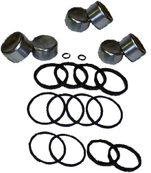 Caliper Rebuild Kit W/Pistons Trike 6 Piston Caliper