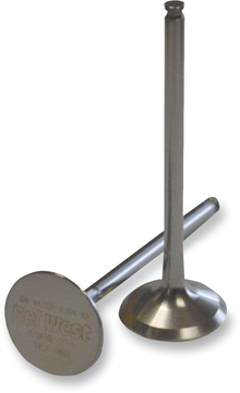 DEL WEST Intake Valve - No Dish - Honda CRF450R '09-'16 DW450RIV09ND
