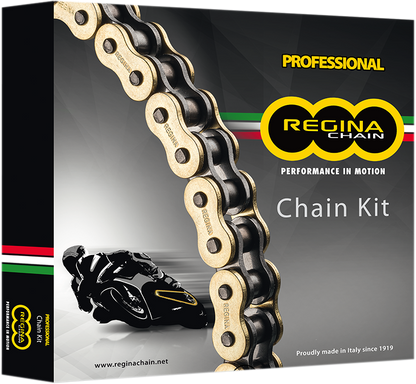 REGINA Chain and Sprocket Kit - '94-'03 VF 750C Magna 136ZRT/118KHO030