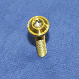 Proti M6 Universal Bolt M6L35-OTB03