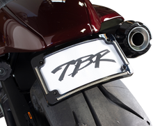 Sportster S Fender Eliminator Kit W/ Lp Light