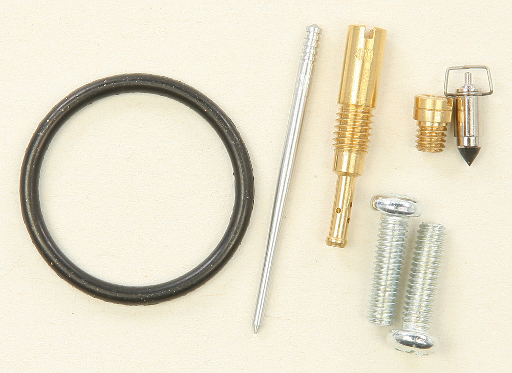 Carburetor Repair Kit