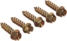 GOLD SCREWS Ice Screws - Gold - 3/8" - 1000 12500644