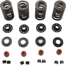 KIBBLEWHITE Valve Spring Kit - 0.675" Lift - 88"/96"/103" Twin Cam | Buell | XL | XR 20-23600