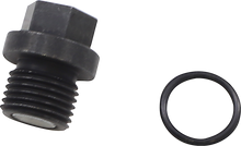 QUAD LOGIC Front Differential Drain Plug and O-Ring 100-2386