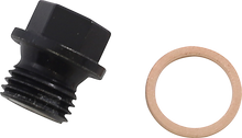 QUAD LOGIC Engine Drain Plug 500-1254