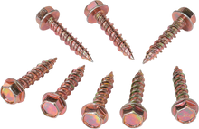 MOOSE OFFROAD Clutch Cover Screw - Polaris 100-4579-PU