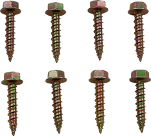 MOOSE OFFROAD Clutch Cover Screw - Polaris 100-4579-PU