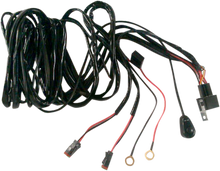 BRITE-LITES Wiring Harness with Switch BL-WHHD2