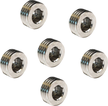 FEULING PARTS Short Sump Plug - 6 pack - M8/Twin Cam 3116