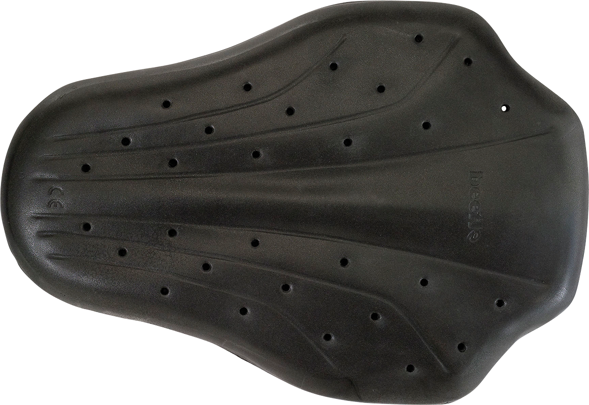 Z1R Back Guard - Black - Small 2702-0285