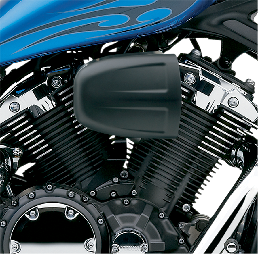 COBRA Air Cleaner Kit - Black 06-0245B-SB