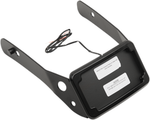 CYCLE VISIONS LP Plate Frame & Mount with Tag Light - FXDWG - Black CV4661B