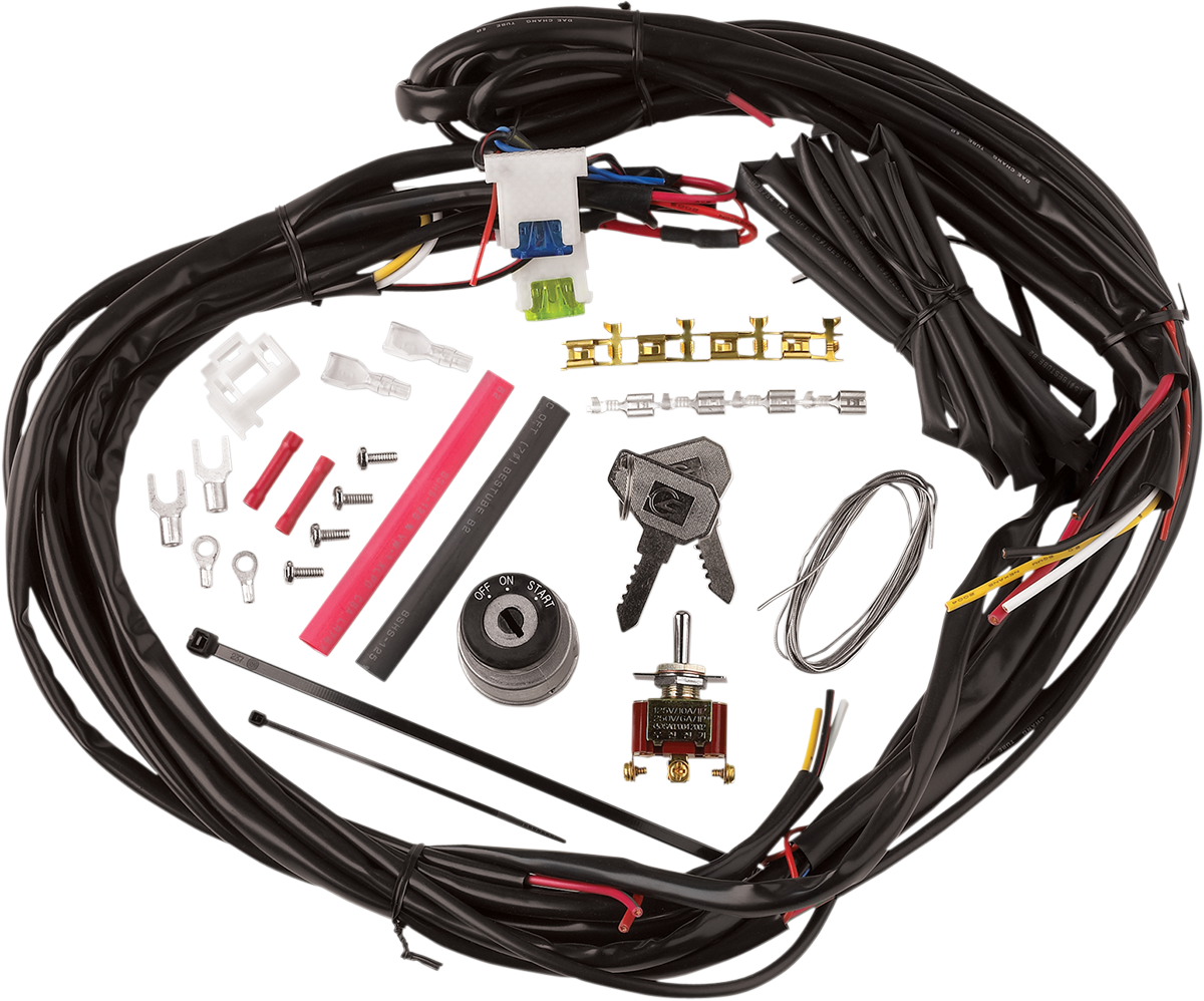 CYCLE VISIONS Custom Wire Harness CV-4869