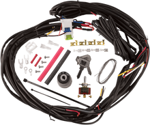CYCLE VISIONS Custom Wire Harness CV-4869