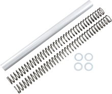 RACE TECH Fork Springs - 0.46 kg/mm FRSP 364746