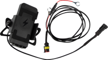 RIDEPOWER Phone Charging Mount - Quick Disconnect - Ball Mount RPINDTVMOUNTQD