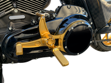HAWG HALTERS Mid Control Conversion Kit - Gold - Knurled Pegs - FLH/FLT MCK-FH16GS-FK