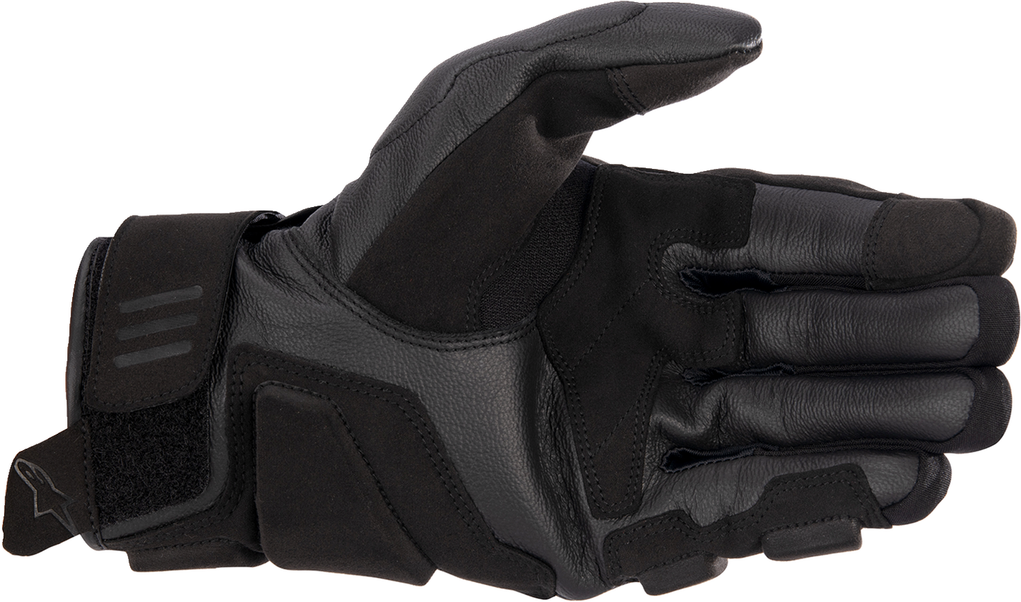 ALPINESTARS Phenom Gloves - Black/White - Large 3501723-12-L