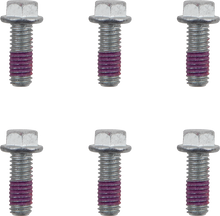 MOTO-MASTER Bolts - Brake Rotor - Torx - M6 x 16 - 6-Pack 012003-PU