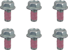 MOTO-MASTER Bolts - Brake Rotor - Torx - M6 x 12 - 6-Pack 012017-PU