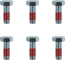 MOTO-MASTER Bolts - Brake Rotor - Torx - M6 x 17 - 6-Pack 012021-PU