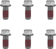 MOTO-MASTER Bolts - Brake Rotor - Torx - M6 x 13 - 6-Pack 012019-PU