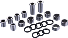FACTORY LINKS Linkage Bearing Rebuild Kit - Sherco LRK-C-002