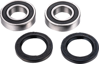 FACTORY LINKS Axle Bearing Kit - Rear - CF Moto ARA-F-001