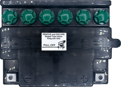 YUASA Battery - YB30CL-B YUAM2230CTWN